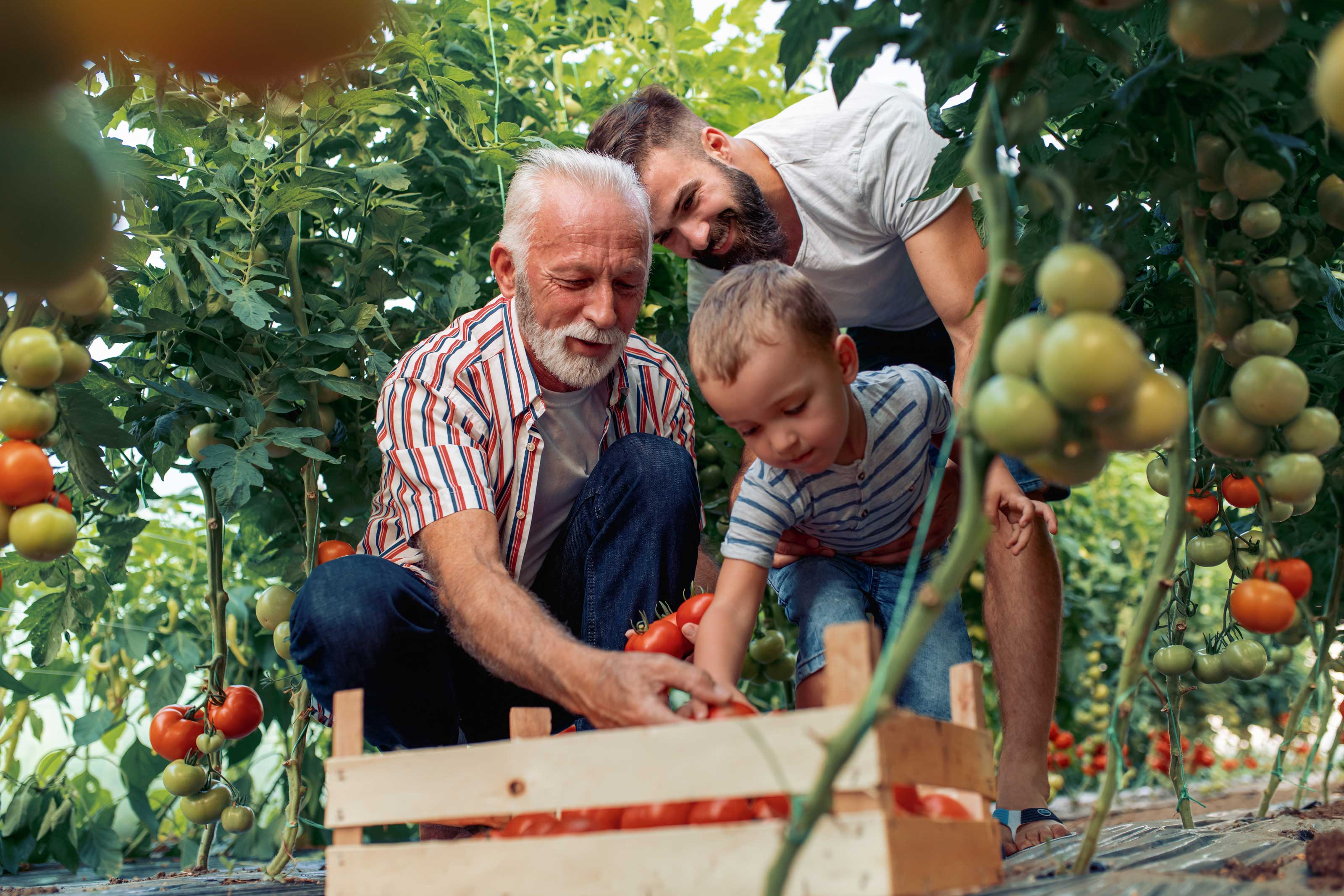 Ohio life insurance coverage